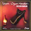 Rıdvan Yılmaz - Tulum Oyun Havaları - Ses Ver Dağlar