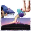 WHY? - Elephant Eyelash