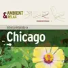 Ambient & Relax - Interpretando a Chicago