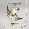 Ignacio Salgado - Scenery - Single