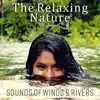 Relaxing Nature Sounds Collection - The Relaxing Nature: Sounds of Winds & Rivers – Calming Water Sounds, Meditation Music, Spas Background, Quieting Rain for Detox