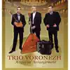 Trio Voronezh - A Special Arrangement