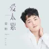 梁帅 - 爱太累 - Single