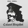 BRIAN FARRELL/COLONEL BAGSHOT - In the Magic Garden . - Single