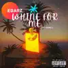 Ebarz - Whine For Me (feat. Youngj) - Single