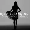 Barbara Spreengfeld Spiritual Cleaner - Deep Cleansing Meditation Music - Chakra Balancing, Healing Crystals Music, Feel Energized and Recharged