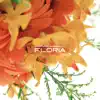 Various Artists - common ground recordings Presents Floria