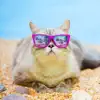 Yellow Cat - Relaxation Music For Stress Relief and Healing