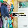 Mouse On tha Track - Big Blossom