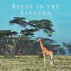 Various Artists - Relax in the Savanna