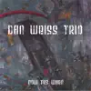 Dan Weiss / Dan Weiss Trio - Now Yes When