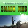 Smash Mob - Take Me for Your Ride (Pure Michigan Version) - Single