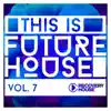 Various Artists - This Is Future House, Vol. 7