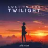 Joïe & CR&B - Lost In the Twilight - Single