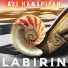 Ali Hanapiyah - Labirin - Single