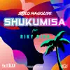 Stilo Magolide - Shukumisa (feat. Riky Rick) - Single