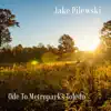 Jake Pilewski - Ode To Metroparks Toledo - Single