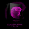 R3SPAWN - Sounds by R3SPAWN Vol. 14 - Single