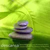 Música relajante - Descansa - Música Relajante Zen para Pensamiento Positivo, Terapias de Relajación y Ejercicios de Meditación