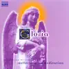 Camerata Cassovia, Jeremy Summerly, Johannes Wildner & Oxford Camerata - Gloria: Classical Music for Reflection and Meditation