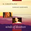 Nawang Khechog & R. Carlos Nakai - Winds of Devotion