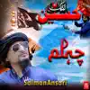 Hafiz Salman Ansari Qadri - Labbaik Ya Hussain - Single