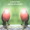 Lungfish - Necrophones