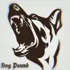 Illestxj - Dog Pound - Single