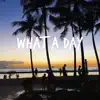 Bobby Cook - What a Day - Single