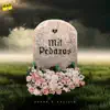 Serve - Mil Pedazos (feat. Cecille) - Single