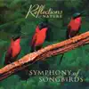 Michael Stanton - Symphony of Songbirds