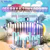 Dee Ray & Tony Brown - Runnin in Circles (D&T Project Remix) - Single