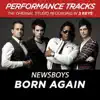 Newsboys - Born Again (Performance Tracks) - EP