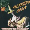 Alfredo Coca - Esencias en Charango