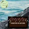 calm music & Massage Tribe - Varieties in Nature