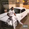 Shawn Hazz McDonald - Got What You Need, Vol. 1 - Single