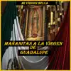 Mañanitas A La Virgen De Guadalupe - Mi Virgen Bella