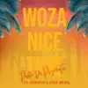 Pablo Da Psychotic - Woza Nice Time (feat. Ofentse & #TheMusiQ) - Single