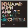 Benjamin Dunn & the Animal Orchestra - Fable