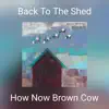 How Now Brown Cow - Back to the Shed (Live May 14, 2022)