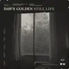 Dawn Golden - Still Life