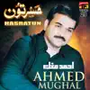 Ahmed Mughal - Hasratun, Vol. 29