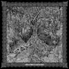 Alder Glade - The Arcanist / Labyrinthian Tomb - Single