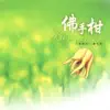 妙蓮華 - 佛手柑 (芳香療法心靈音樂)