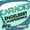 Zoom Karaoke - Zoom Karaoke - Engelbert Humperdinck