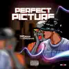 3rapp - Perfect Picture (feat. Dejiavo) - Single