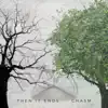 Then It Ends - Chasm (feat. Michael Felker) - Single