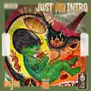 NoGo J - Just an Intro - Single