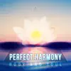 soothing music academy - Perfect Harmony: Body and Soul - Relaxing Natural Ambiences, Zen Meditation, Inner Peace, Restful Sleep, Stress Relief Music