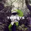 MacDeezy - Tribute - Single